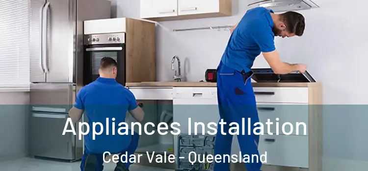 Appliances Installation Cedar Vale - Queensland