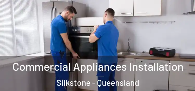 Commercial Appliances Installation Silkstone - Queensland