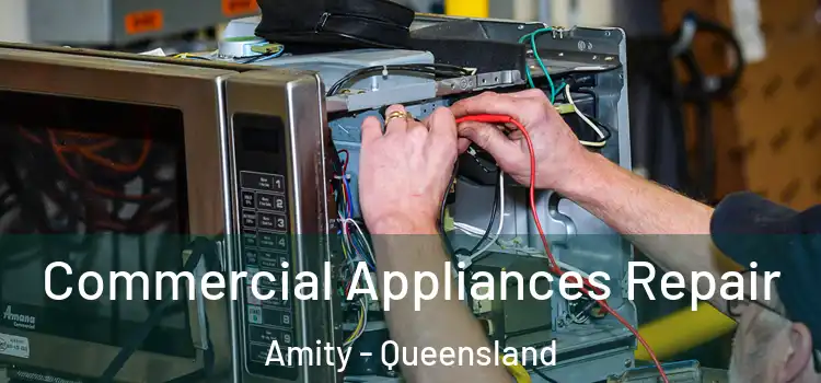 Commercial Appliances Repair Amity - Queensland