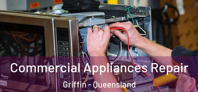 Commercial Appliances Repair Griffin - Queensland