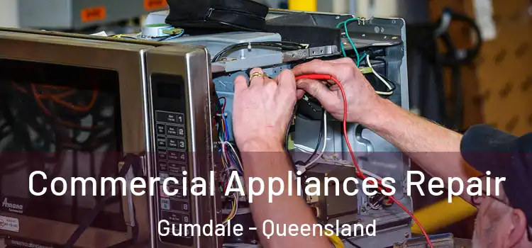 Commercial Appliances Repair Gumdale - Queensland