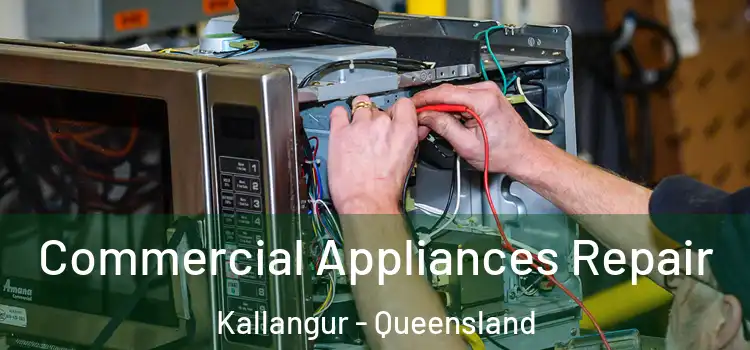 Commercial Appliances Repair Kallangur - Queensland