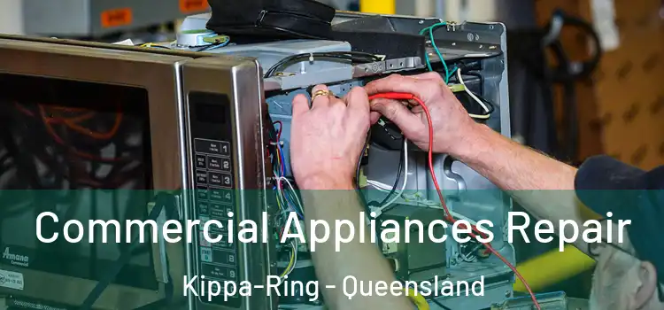 Commercial Appliances Repair Kippa-Ring - Queensland