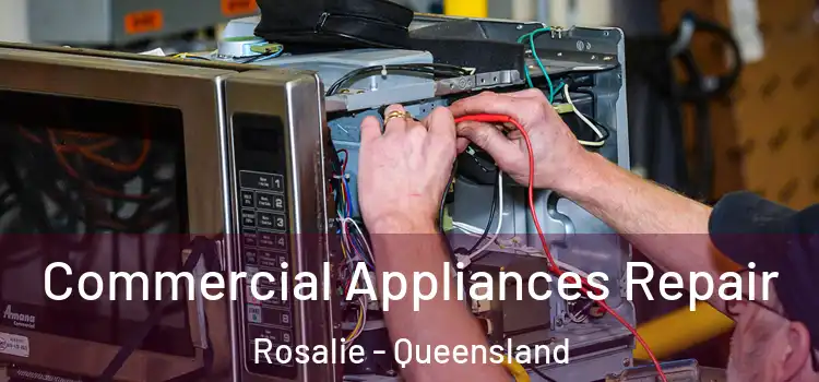 Commercial Appliances Repair Rosalie - Queensland