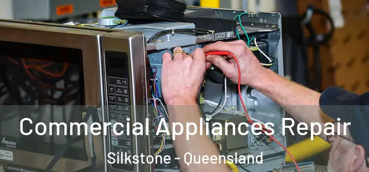 Commercial Appliances Repair Silkstone - Queensland