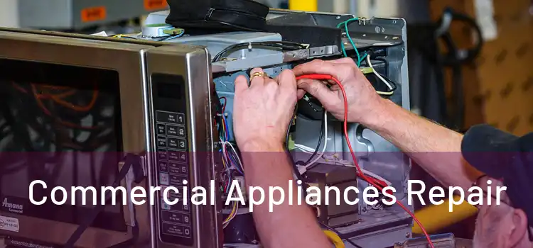 Commercial Appliances Repair 