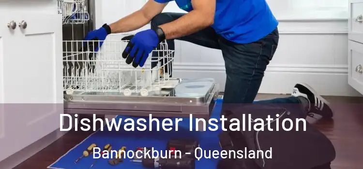 Dishwasher Installation Bannockburn - Queensland
