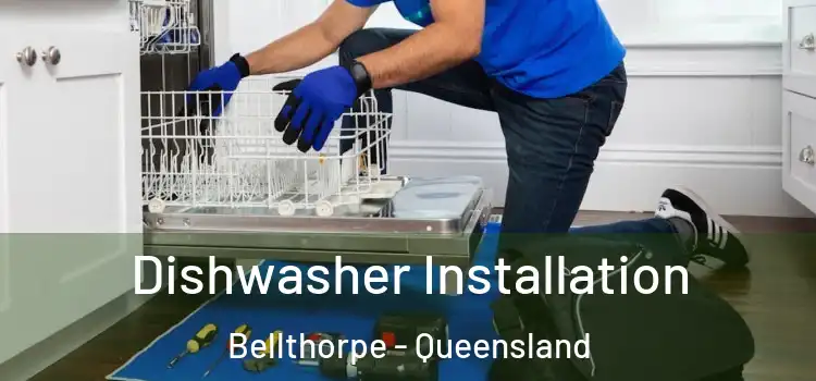 Dishwasher Installation Bellthorpe - Queensland