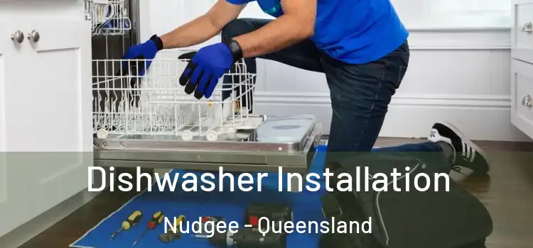 Dishwasher Installation Nudgee - Queensland