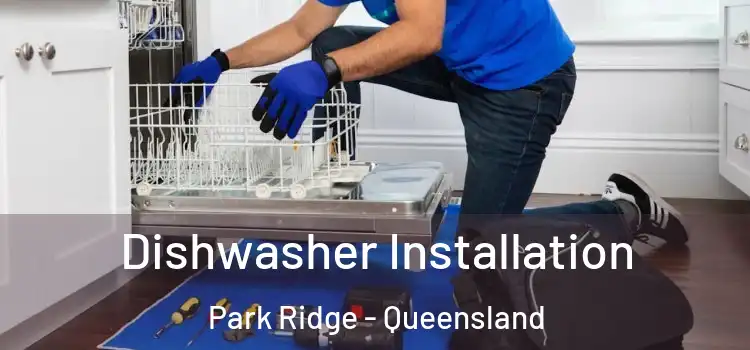 Dishwasher Installation Park Ridge - Queensland