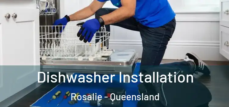 Dishwasher Installation Rosalie - Queensland