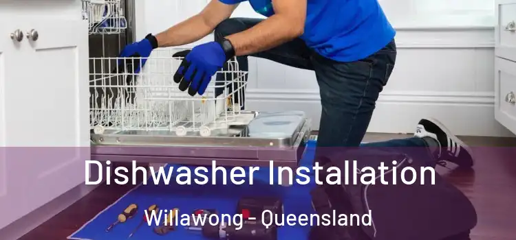 Dishwasher Installation Willawong - Queensland