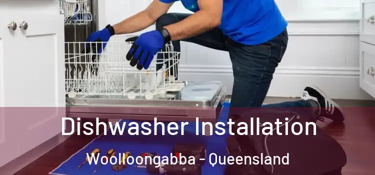 Dishwasher Installation Woolloongabba - Queensland
