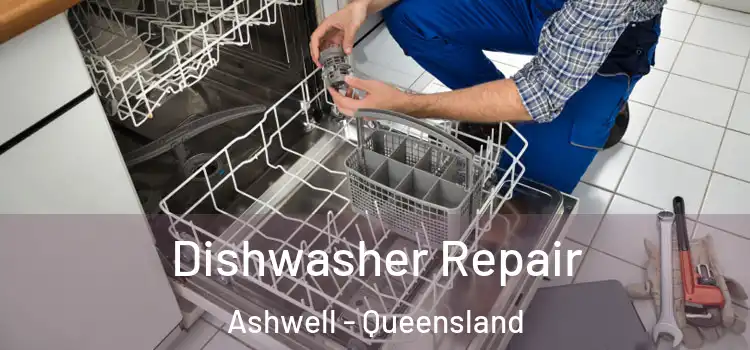 Dishwasher Repair Ashwell - Queensland