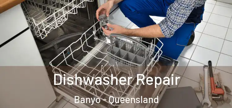 Dishwasher Repair Banyo - Queensland