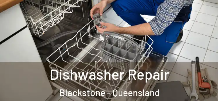 Dishwasher Repair Blackstone - Queensland