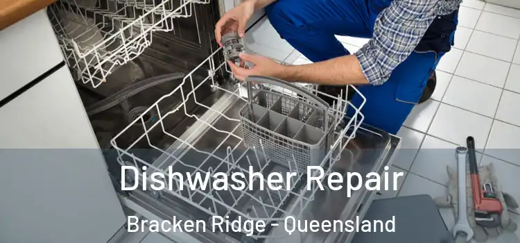 Dishwasher Repair Bracken Ridge - Queensland