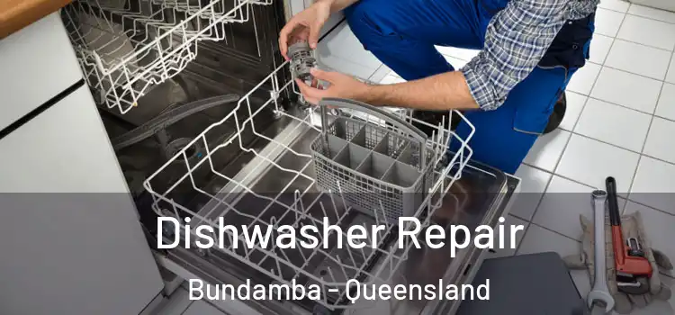 Dishwasher Repair Bundamba - Queensland
