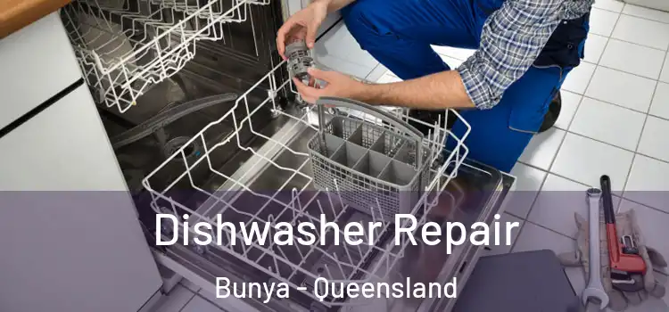 Dishwasher Repair Bunya - Queensland