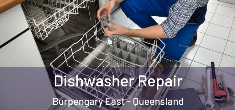 Dishwasher Repair Burpengary East - Queensland