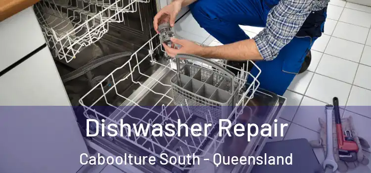 Dishwasher Repair Caboolture South - Queensland