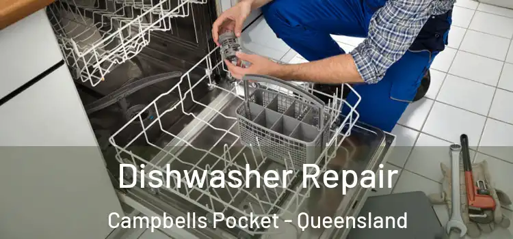 Dishwasher Repair Campbells Pocket - Queensland