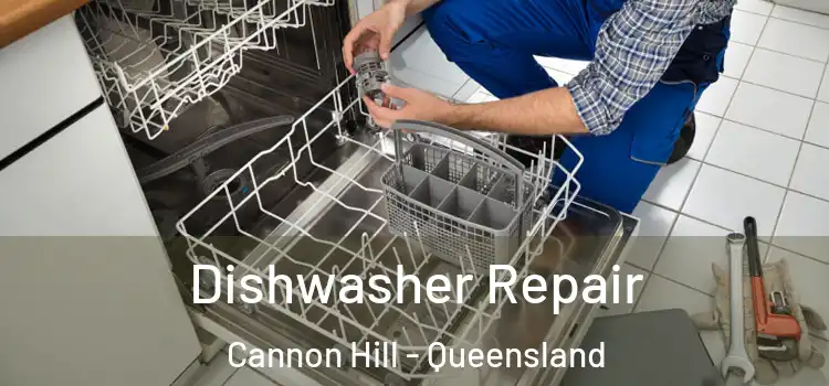 Dishwasher Repair Cannon Hill - Queensland