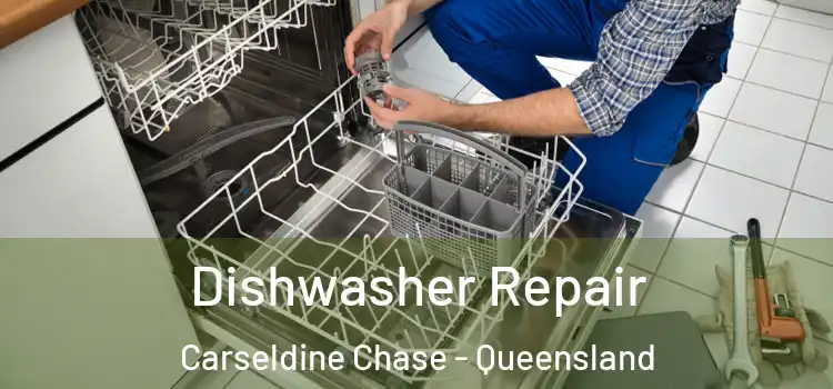 Dishwasher Repair Carseldine Chase - Queensland