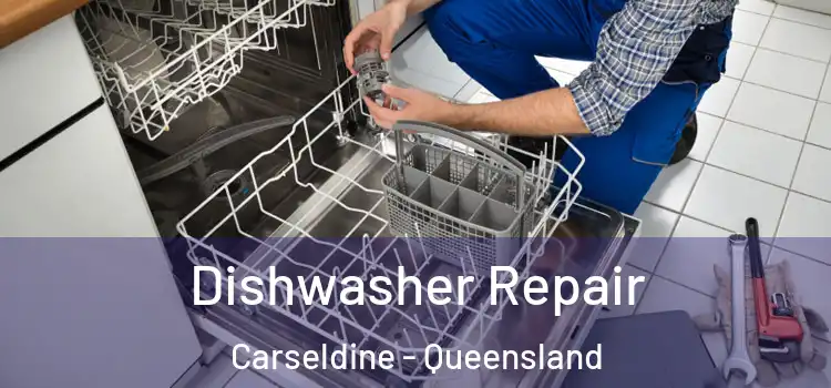 Dishwasher Repair Carseldine - Queensland