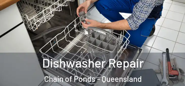 Dishwasher Repair Chain of Ponds - Queensland