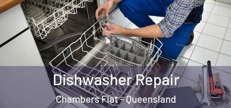 Dishwasher Repair Chambers Flat - Queensland