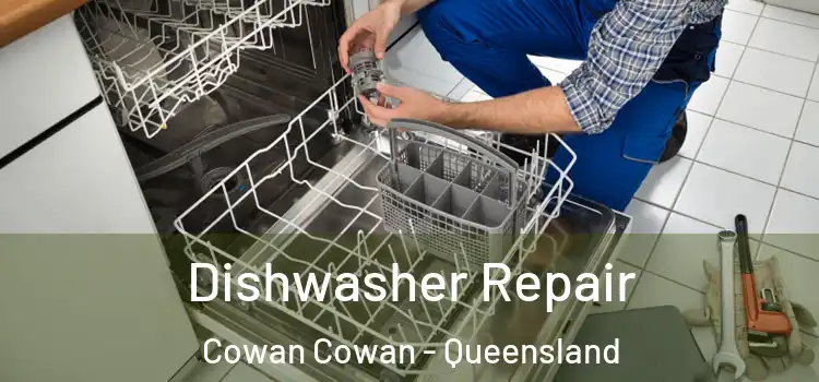 Dishwasher Repair Cowan Cowan - Queensland