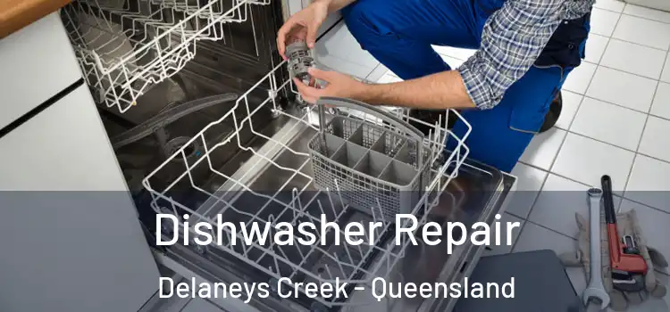 Dishwasher Repair Delaneys Creek - Queensland