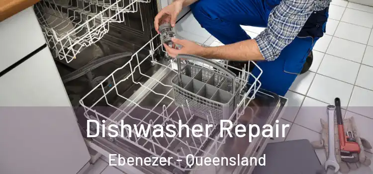 Dishwasher Repair Ebenezer - Queensland