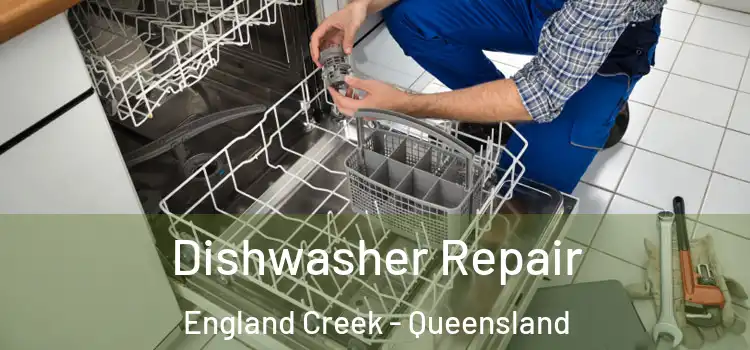 Dishwasher Repair England Creek - Queensland
