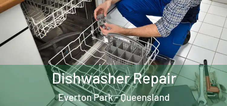 Dishwasher Repair Everton Park - Queensland