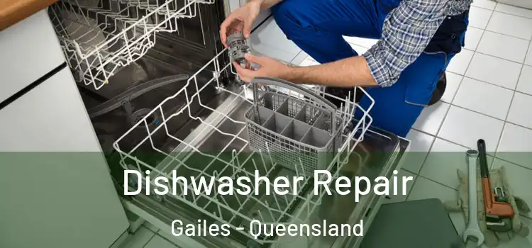 Dishwasher Repair Gailes - Queensland
