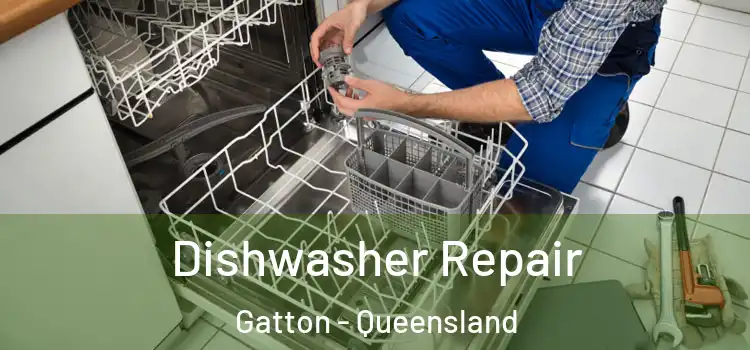 Dishwasher Repair Gatton - Queensland
