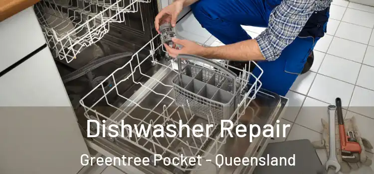 Dishwasher Repair Greentree Pocket - Queensland