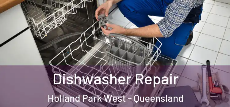 Dishwasher Repair Holland Park West - Queensland