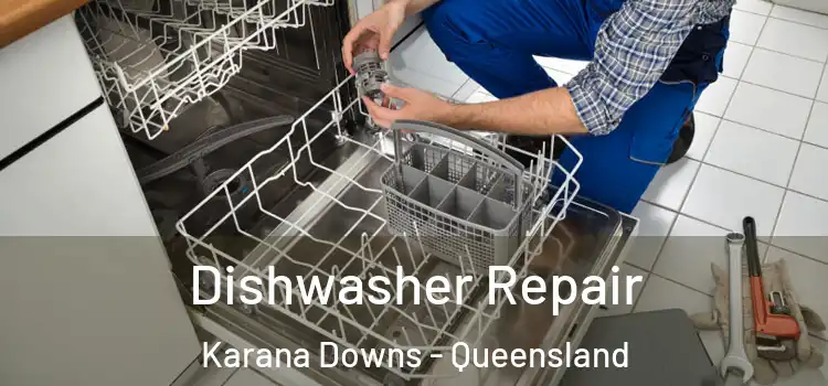 Dishwasher Repair Karana Downs - Queensland