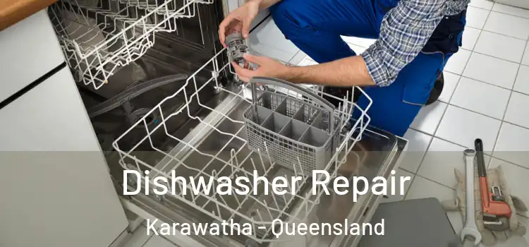 Dishwasher Repair Karawatha - Queensland