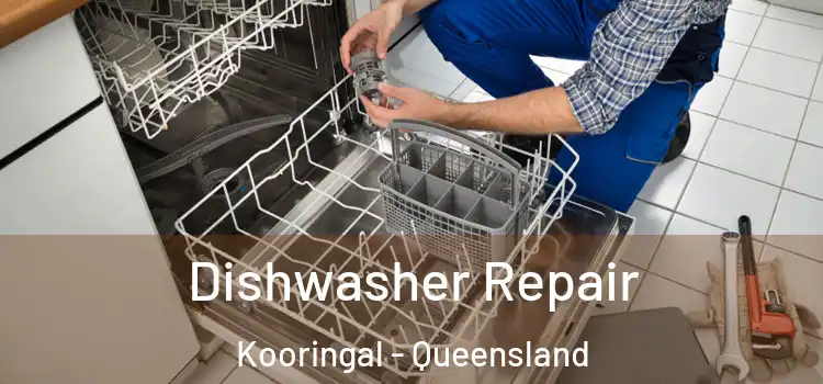 Dishwasher Repair Kooringal - Queensland