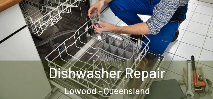 Dishwasher Repair Lowood - Queensland