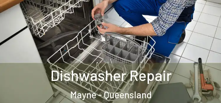 Dishwasher Repair Mayne - Queensland