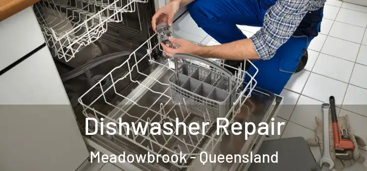 Dishwasher Repair Meadowbrook - Queensland