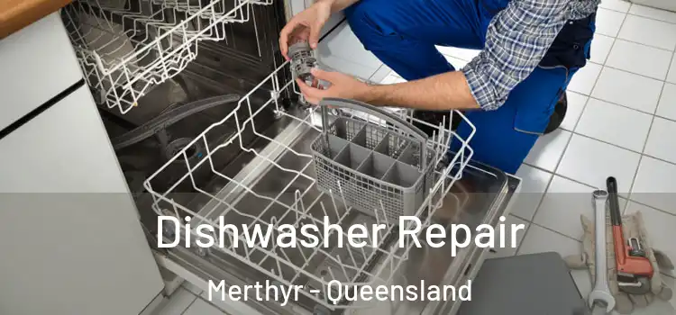 Dishwasher Repair Merthyr - Queensland