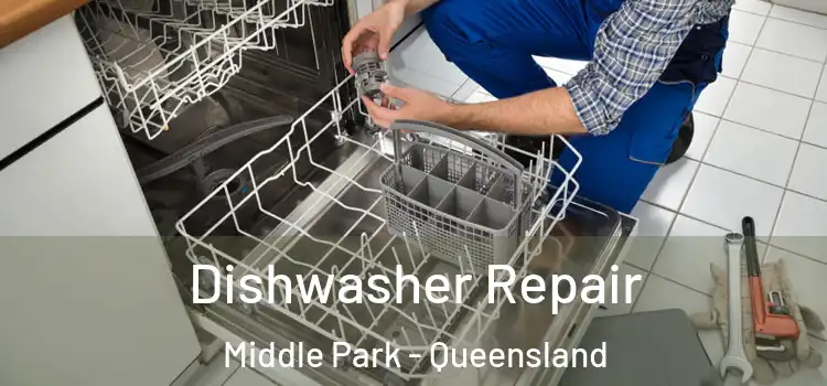 Dishwasher Repair Middle Park - Queensland