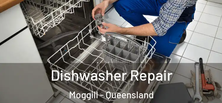Dishwasher Repair Moggill - Queensland
