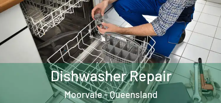Dishwasher Repair Moorvale - Queensland